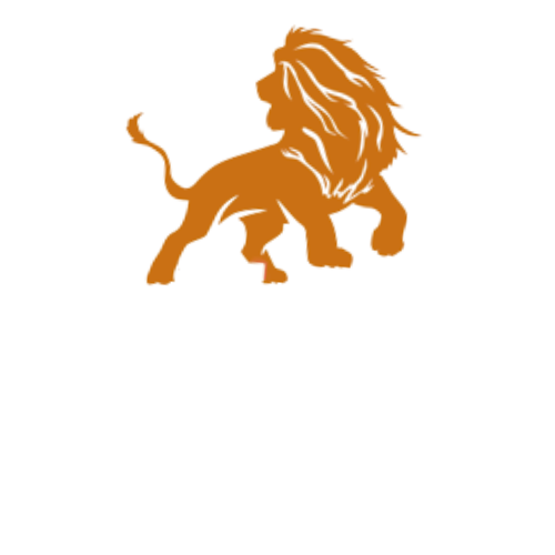 Aslan Services